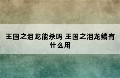 王国之泪龙能杀吗 王国之泪龙鳞有什么用